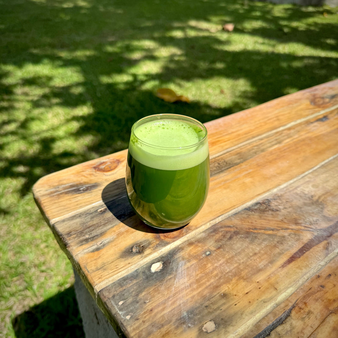 Fake or Real: How to Spot Fake Matcha