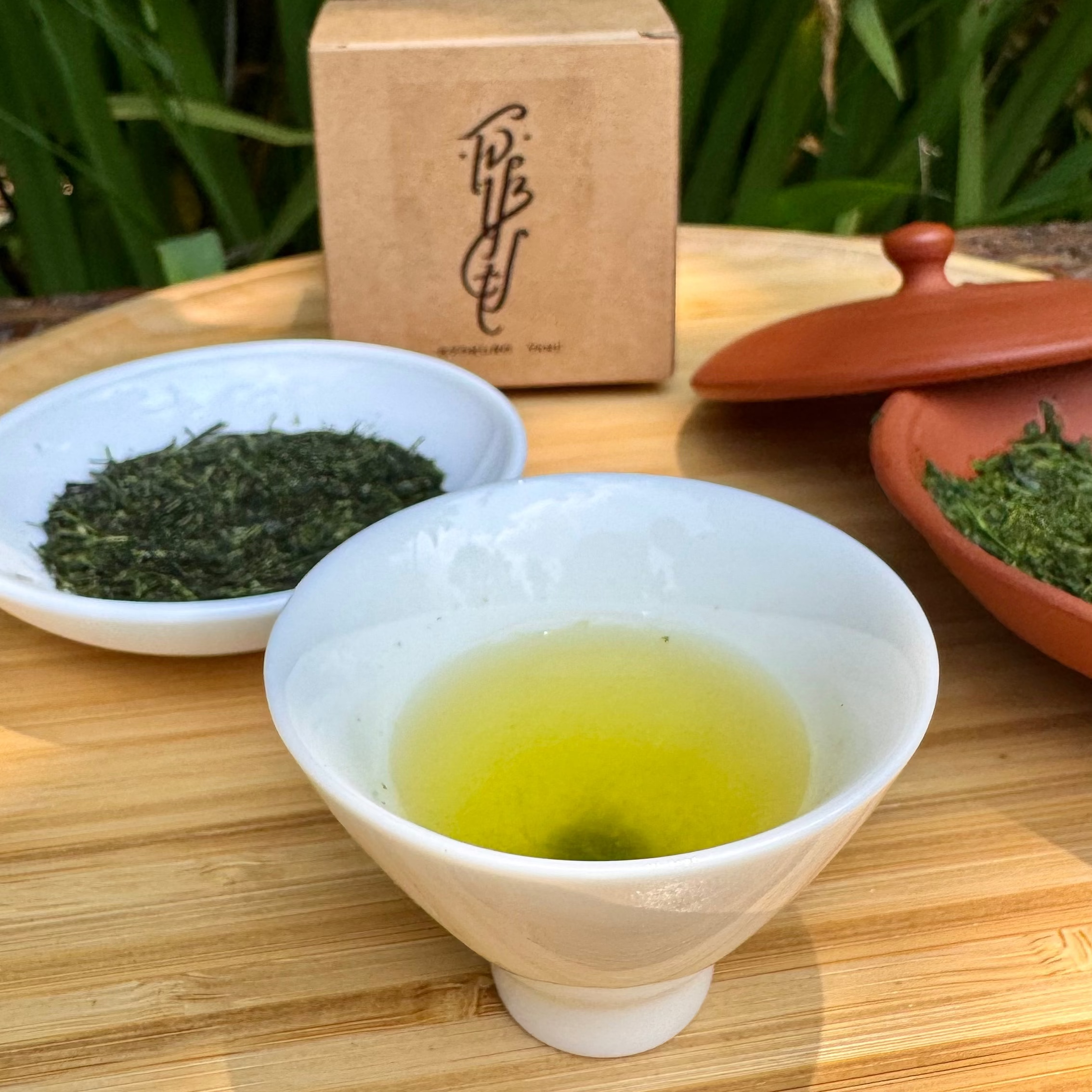 Yame Gyokuro