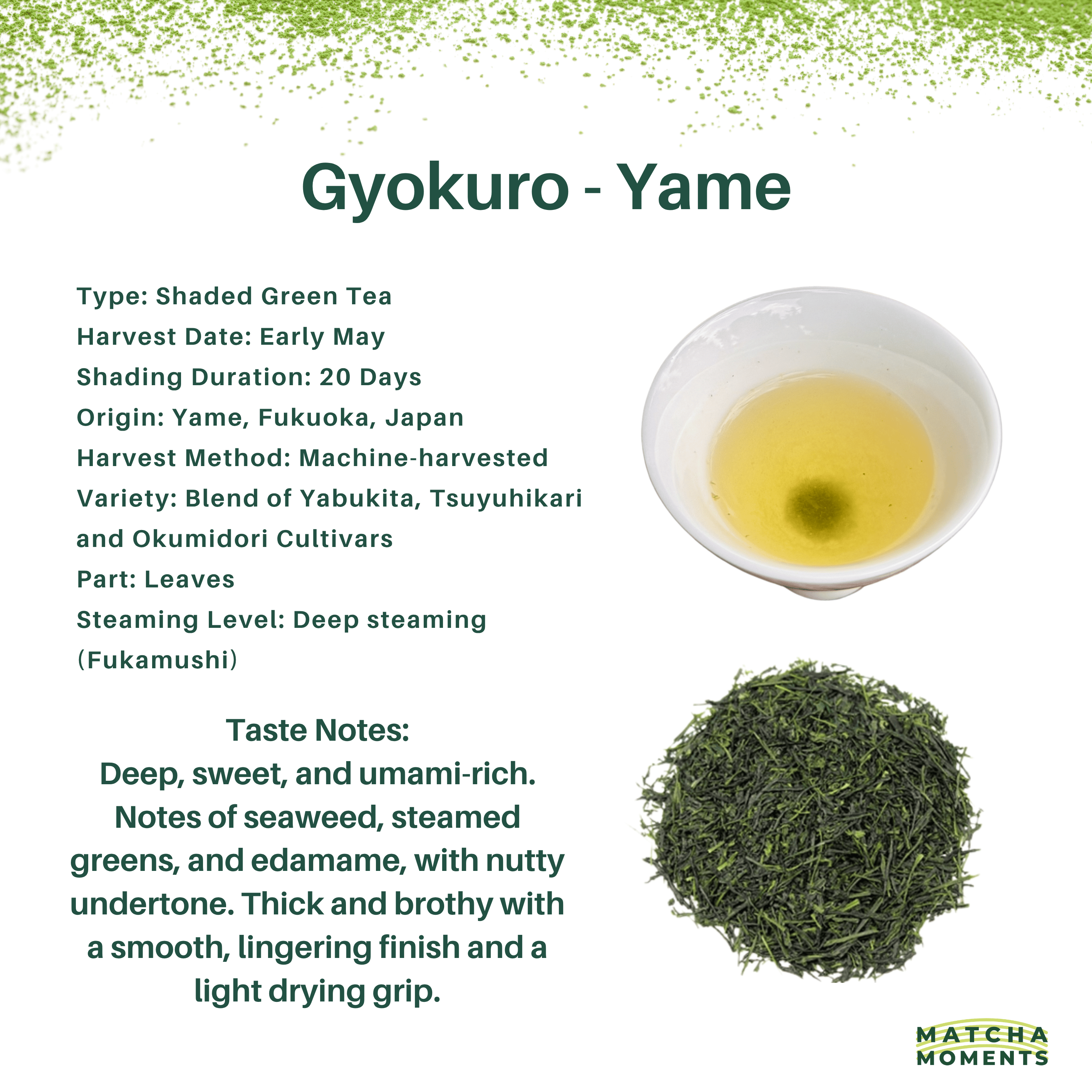 Yame Gyokuro