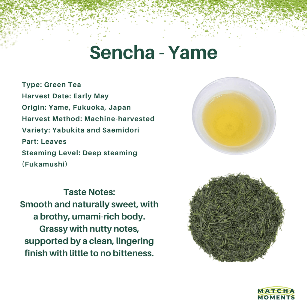 Yame Sencha