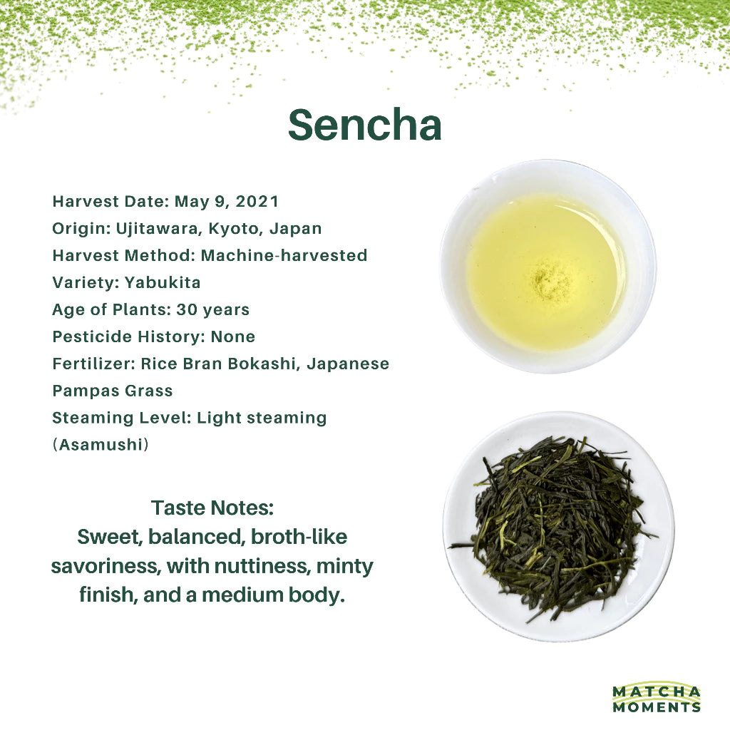 Ujitawara Sencha
